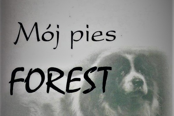 mój-pies-forestC0649DD5-B10D-EB91-A608-BFC3A1233D3E.jpg