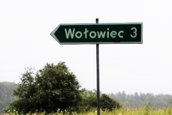 wołowiecA2EF95B0-BD3C-DDA5-C06C-42AD370BD834.jpg